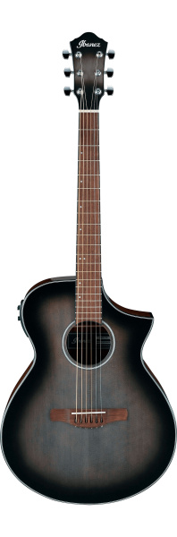Ibanez AEWC11-TCB по цене 46 200 ₽
