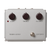 Warm Audio WA-CVS Limited Edition Silver Centavo по цене 19&nbsp;320 ₽