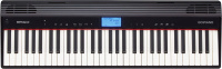 Roland GO-61P