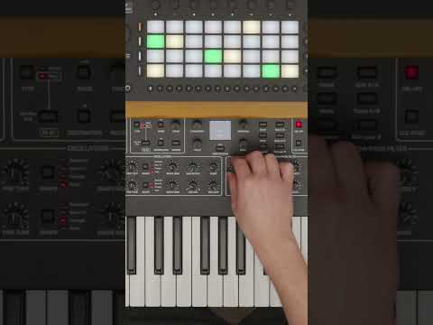 Ableton Move по цене 49&nbsp;390.00 ₽