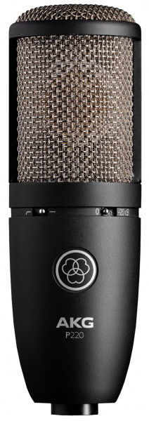 AKG P220 по цене 34 788 ₽