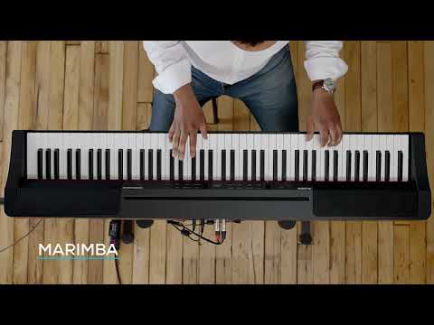 Alesis Prestige Artist по цене 84 525 ₽