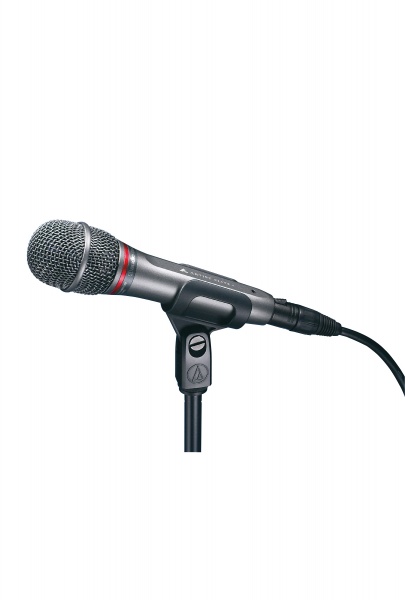 Audio-Technica AE6100 по цене 29 302.00 ₽