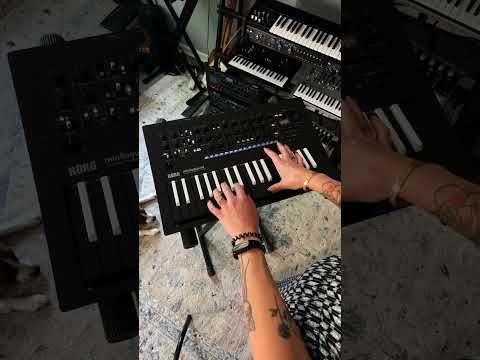 Korg Minilogue XD BW по цене 96 600 ₽