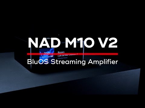 Moose M10 по цене 65&nbsp;730 ₽