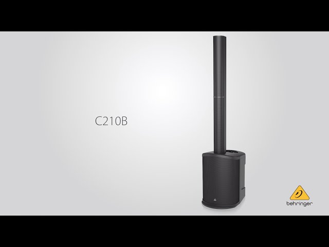 Behringer C210 по цене 35 970.00 ₽