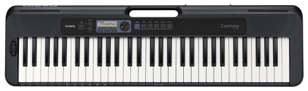 Casio CT-S300 по цене 26 590 ₽