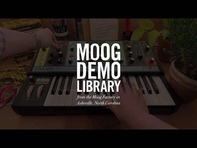 Moog Grandmother Dark по цене 100 000 ₽