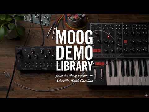 Moog Spectravox по цене 104 750 ₽