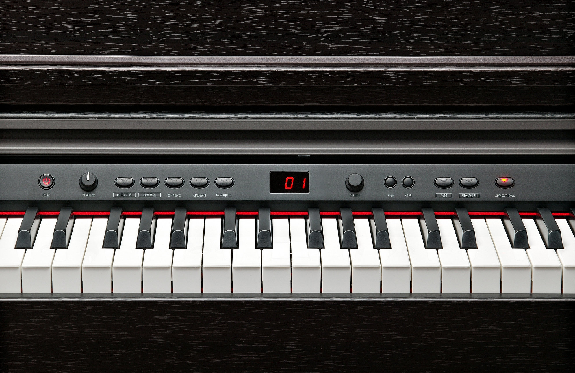 Kurzweil KA130 SR по цене 98 960 ₽