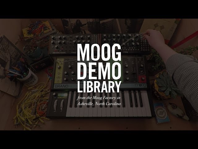 Moog Grandmother по цене 144 900 ₽