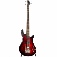 Spector Legend 5 Standard Black Cherry