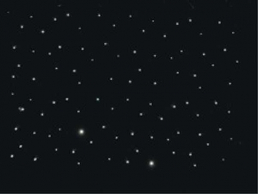 Proton Lighting PL LED Star Cloth Curtain LED занавес Звёздное небо, 3 х 3 м по цене 77 000 ₽