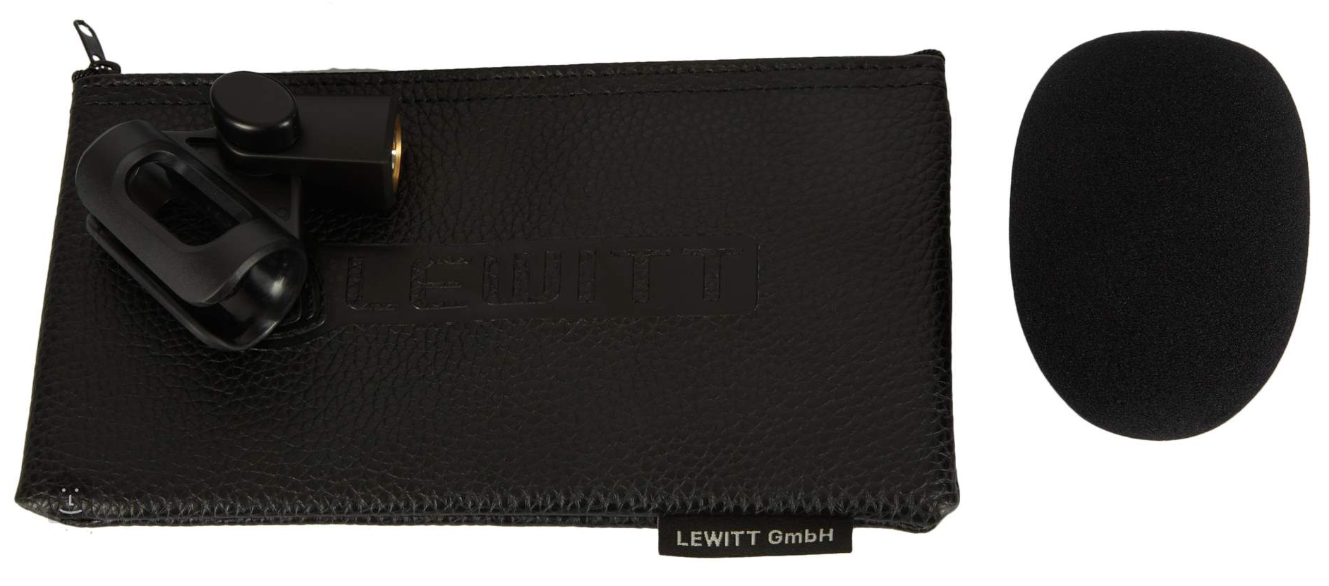Lewitt MTP550DMs по цене 17 300 ₽