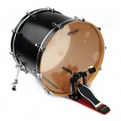Evans BD22HG по цене 10 200 ₽
