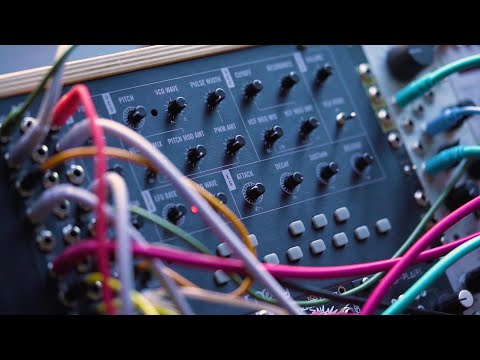 Moog Mavis по цене 32 680 ₽