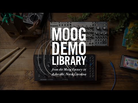 Moog Spectravox по цене 104 750 ₽