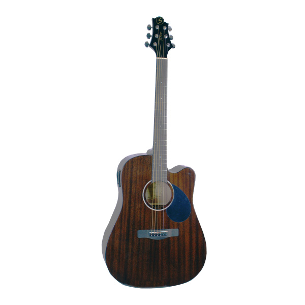 Greg Bennett D1CE/N по цене 20 100 ₽