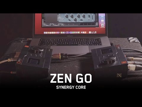 IGS Audio ZEN по цене 369 400 ₽
