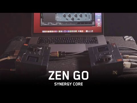 IGS Audio ZEN по цене 348 090 ₽