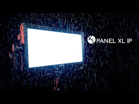 D'Addario NB1253 - Set Nickel Bronze Acoustic, Light, 12-53 по цене 1&nbsp;670.00 ₽