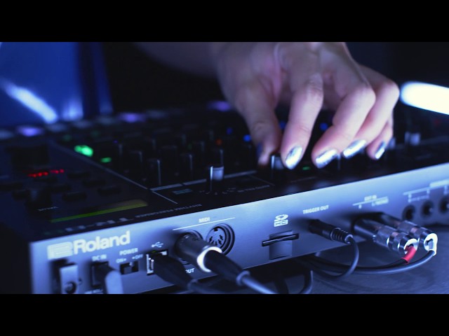 Rane Performer по цене 282 950 ₽