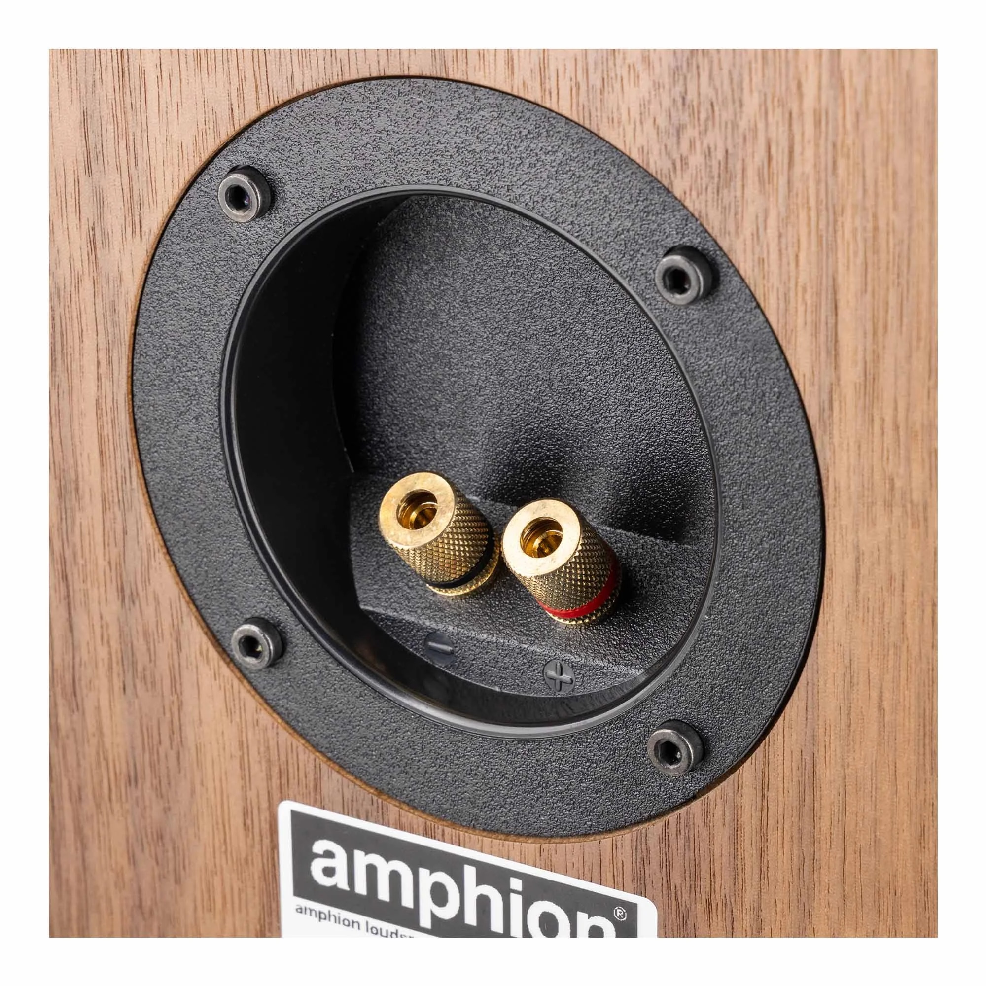 Amphion Helium510 Walnut по цене 139 900.00 ₽