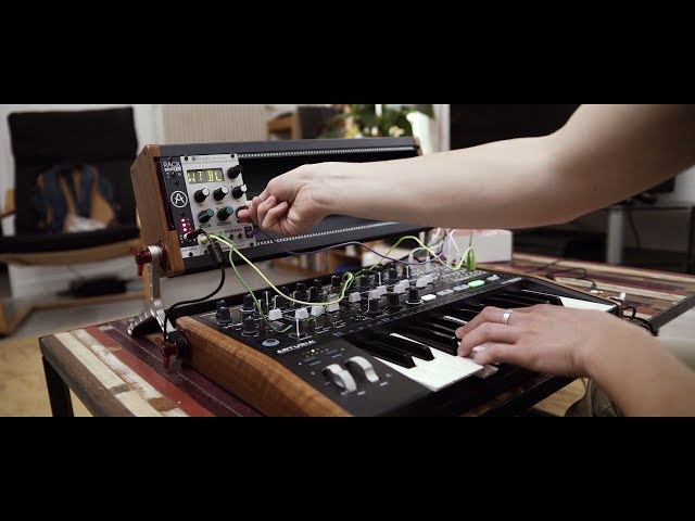 Arturia RackBrute 3U по цене 36 180 ₽