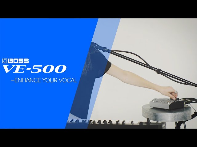 Rane Performer по цене 282 950 ₽