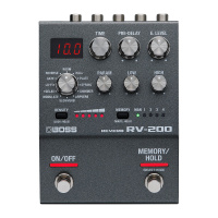 Boss RV-200