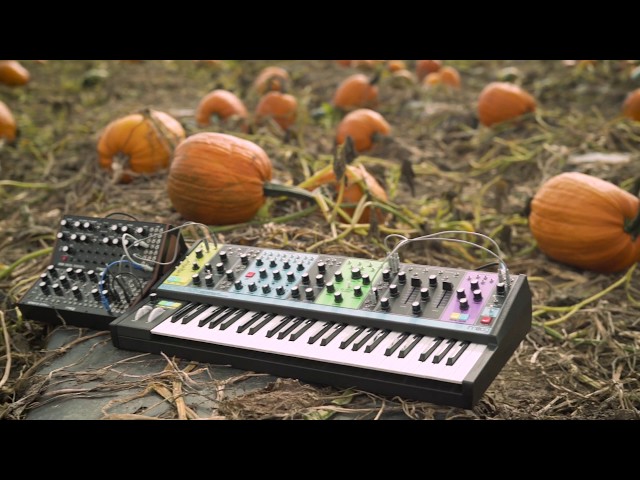 Moog Matriarch Dark по цене 192 000 ₽