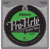 D'Addario EJ29