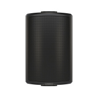 Tannoy AMS 5ICT по цене 19 000 ₽