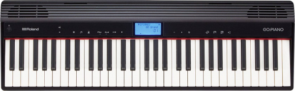 Roland GO-61P по цене 44 760 ₽