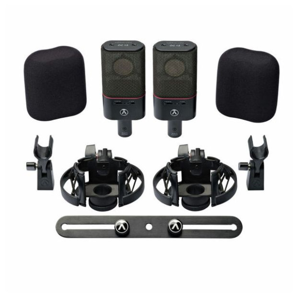 Austrian Audio OC18 Dual Set Plus по цене 219 990 ₽