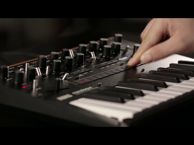 Korg Monologue-BK по цене 45 000 ₽