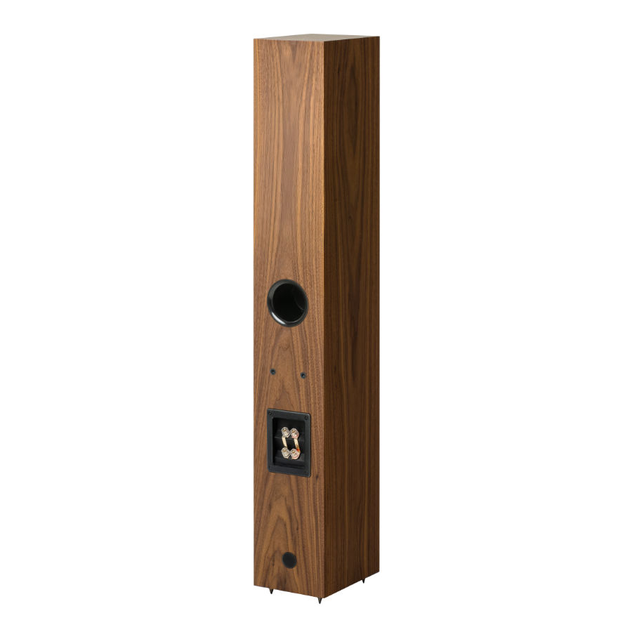Pro-Ject Speaker Box 12 E Carbon Walnut по цене 140 000.00 ₽