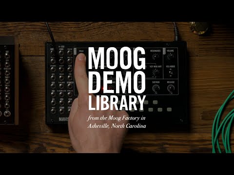 Moog Mavis по цене 38 250 ₽