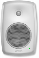 Genelec 4040AW по цене 146 300 ₽