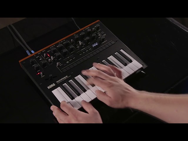 Korg Monologue-SV по цене 35 250 ₽