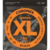 D'Addario ECG23