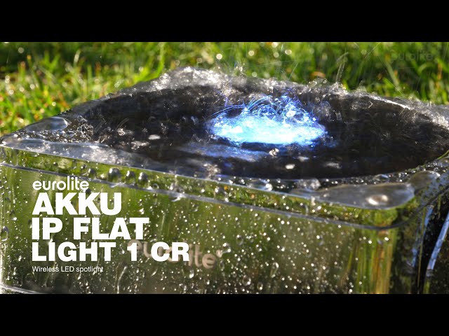 D'Addario NB1253 - Set Nickel Bronze Acoustic, Light, 12-53 по цене 1&nbsp;670.00 ₽