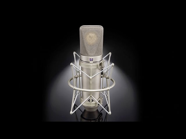 Neumann U 67 set по цене 1 010 670.00 ₽