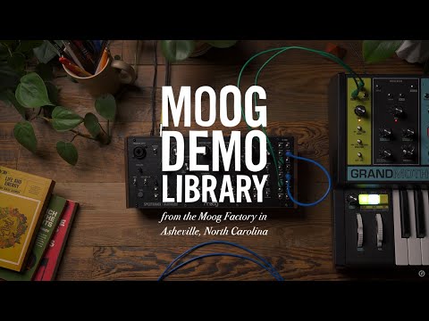 Moog Spectravox по цене 104 750 ₽