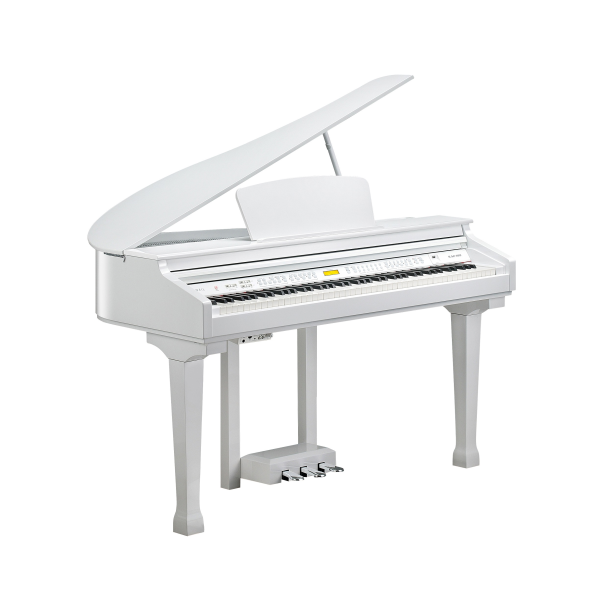 Kurzweil KAG100 WHP по цене 251 450 ₽