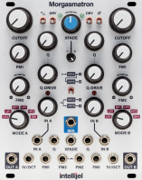 Intellijel Morgasmatron 3U по цене 38 400 ₽