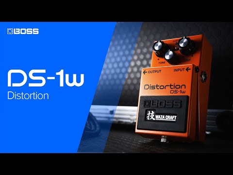 Boss DS-1W по цене 22 400 ₽