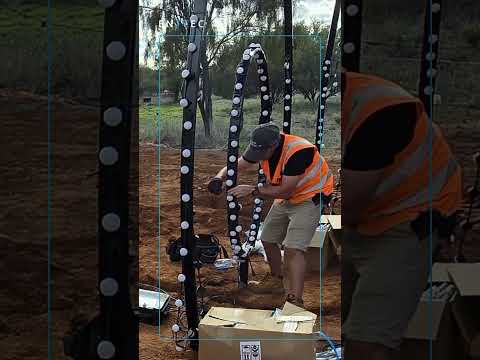 D'Addario NB1253 - Set Nickel Bronze Acoustic, Light, 12-53 по цене 1&nbsp;670.00 ₽