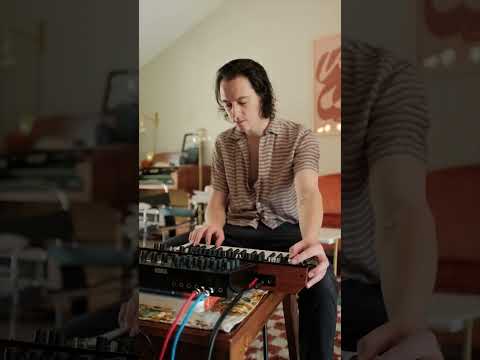 Korg Minilogue XD BW по цене 96 600 ₽
