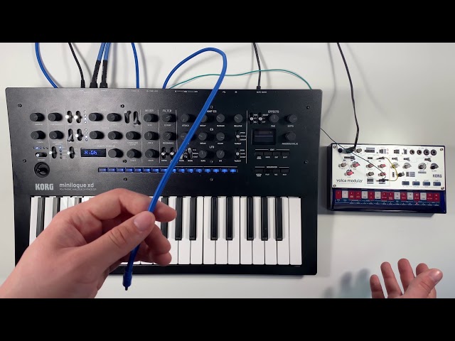 Korg Minilogue XD по цене 88 200 ₽